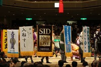 大相撲初場所の横綱白鵬の取り組み前に掲げられる「SID 10th Anniversary LIVE」ロゴ入り懸賞旗。