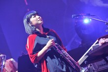 ファンファン（Tp, Key）