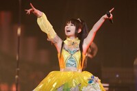 最新アルバム「ROCKBOUND NEIGHBORS」発売時に行ったナタリーのインタビューでは「フルオケライブは定期公演にしたい」と語っていた水樹奈々。今後の展開にも注目だ（撮影：上飯坂一）。