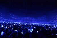 青いサイリウムで染められたさいたまスーパーアリーナ（撮影：上飯坂一）。