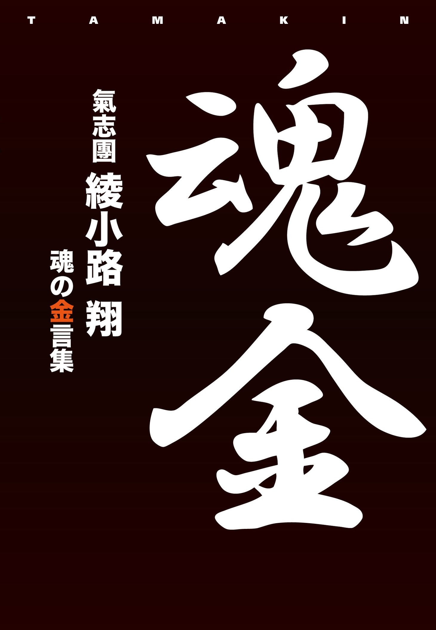 綾小路翔「魂金」表紙