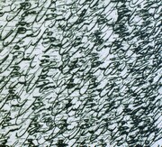 LOOLOWNINGEN & THE FAR EAST IDIOTS新作超先行発売