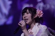 「AKB48 リクエストアワー セットリストベスト100 2013」1日目の様子。「もしも私が空に住んでいたら」を披露する岩佐美咲。（C)AKS