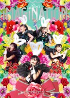 ももいろクローバーZ「ももクロ秋の2大祭り『男祭り2012 -Dynamism-』『女祭り2012 -Girl’s Imagination-』」ボックス裏面