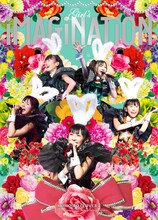 ももいろクローバーZ「ももクロ秋の2大祭り『男祭り2012 -Dynamism-』『女祭り2012 -Girl’s Imagination-』」ボックス裏面