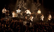 東京スカパラダイスオーケストラ