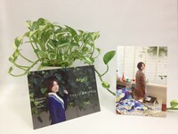 立てて飾ることができる特製コレクションスタンドカード。