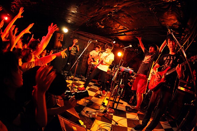 2月3日に行われたキュウソネコカミの東京・下北沢SHELTER公演の様子。Photo by Viola Kam（V'z Twinkle Photography）