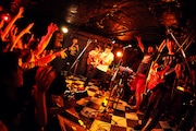 2月3日に行われたキュウソネコカミの東京・下北沢SHELTER公演の様子。Photo by Viola Kam(V'z Twinkle Photography)