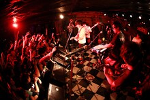 2月3日に行われたキュウソネコカミの東京・下北沢SHELTER公演の様子。Photo by Viola Kam（V'z Twinkle Photography）