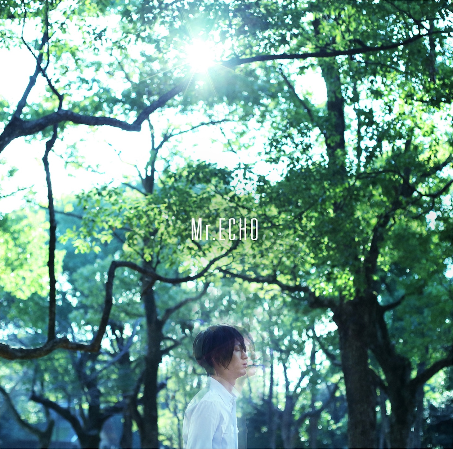 NICO Touches the Walls「Mr. ECHO」ジャケット