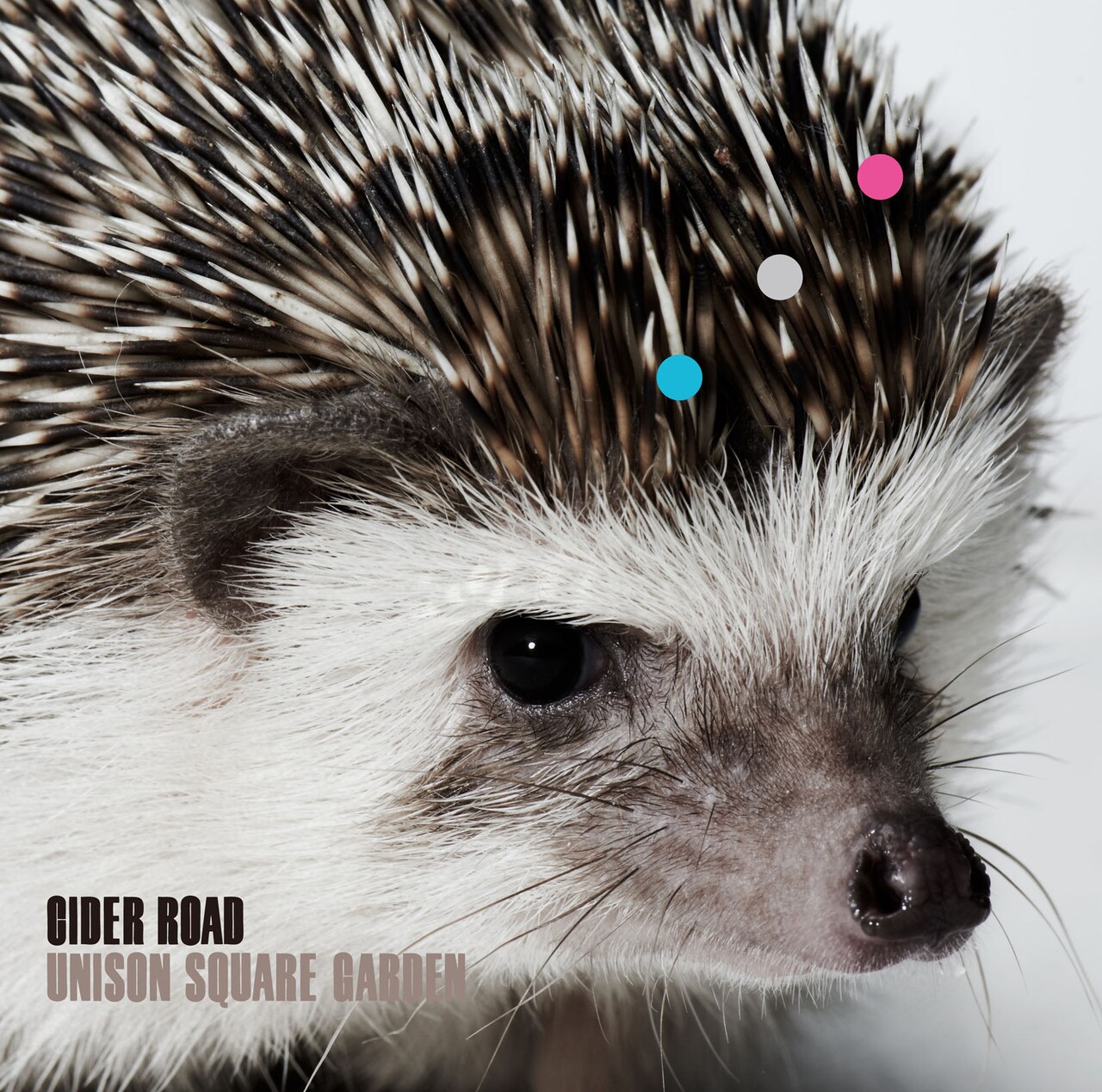 UNISON SQUARE GARDEN CIDER ROAD 初回盤 BD初回生産限定盤】UNISON SQUARE GARDEN Revival Tour 
