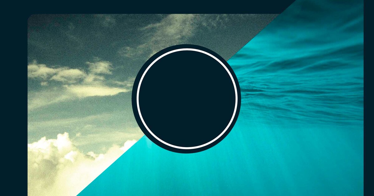 sakanaction_limited.jpg? 