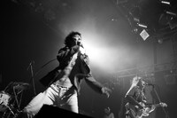 黒猫チェルシー（撮影：森下友加里）