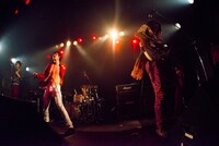 黒猫チェルシー（撮影：森下友加里）