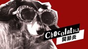 WANSメンバーのChocolat（G）は関節炎。