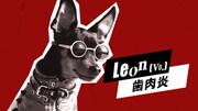WANSメンバーのLeon（Vo）は歯肉炎。