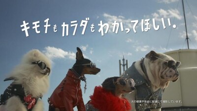 「いぬのきもち」CMのワンシーン。