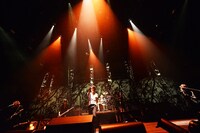 2月17日に東京・両国国技館で行われた「SLAVE限定GIG 2013」の様子。