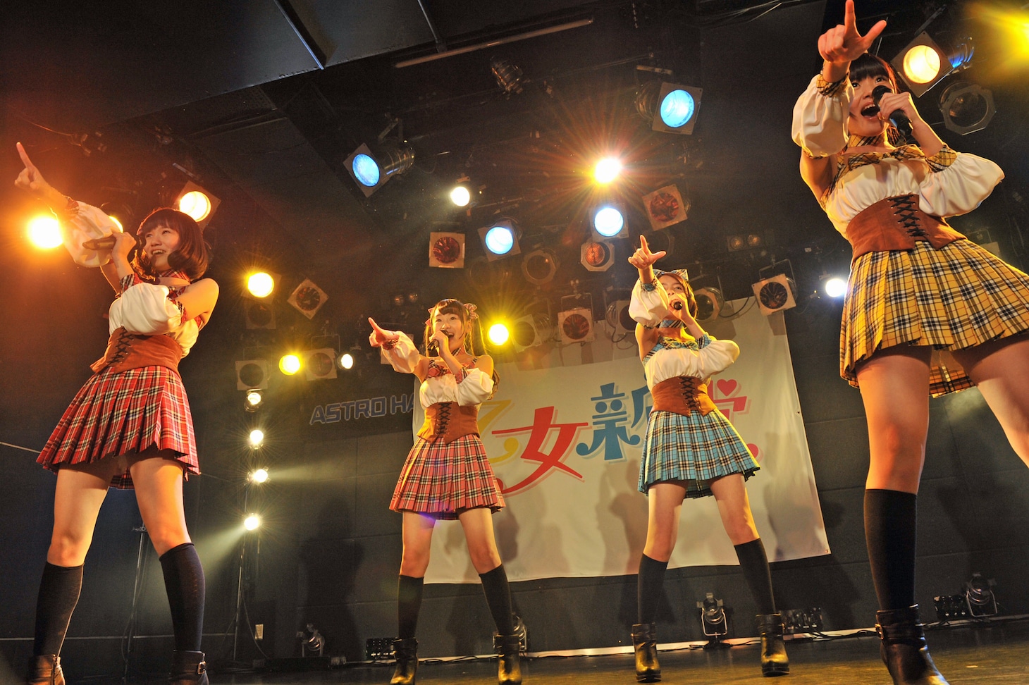 乙女新党