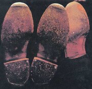 カーネーション「YOUNG WISE MEN」ジャケット