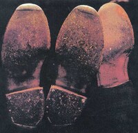 カーネーション「YOUNG WISE MEN」ジャケット