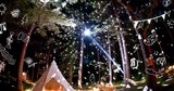 これまで開催された「New Acoustic Camp」の模様。