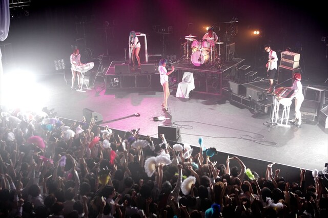 2月22日のライブ「白兵戦」の模様（撮影：岩根愛）。