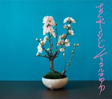 チリヌルヲワカ「あんぷらぐど～オフィシャル海賊版～」ジャケット