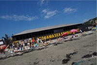 過去の「音霊 OTODAMA SEA STUDIO」の様子。