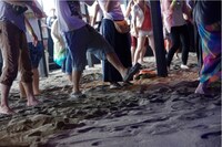 過去の「音霊 OTODAMA SEA STUDIO」の様子。