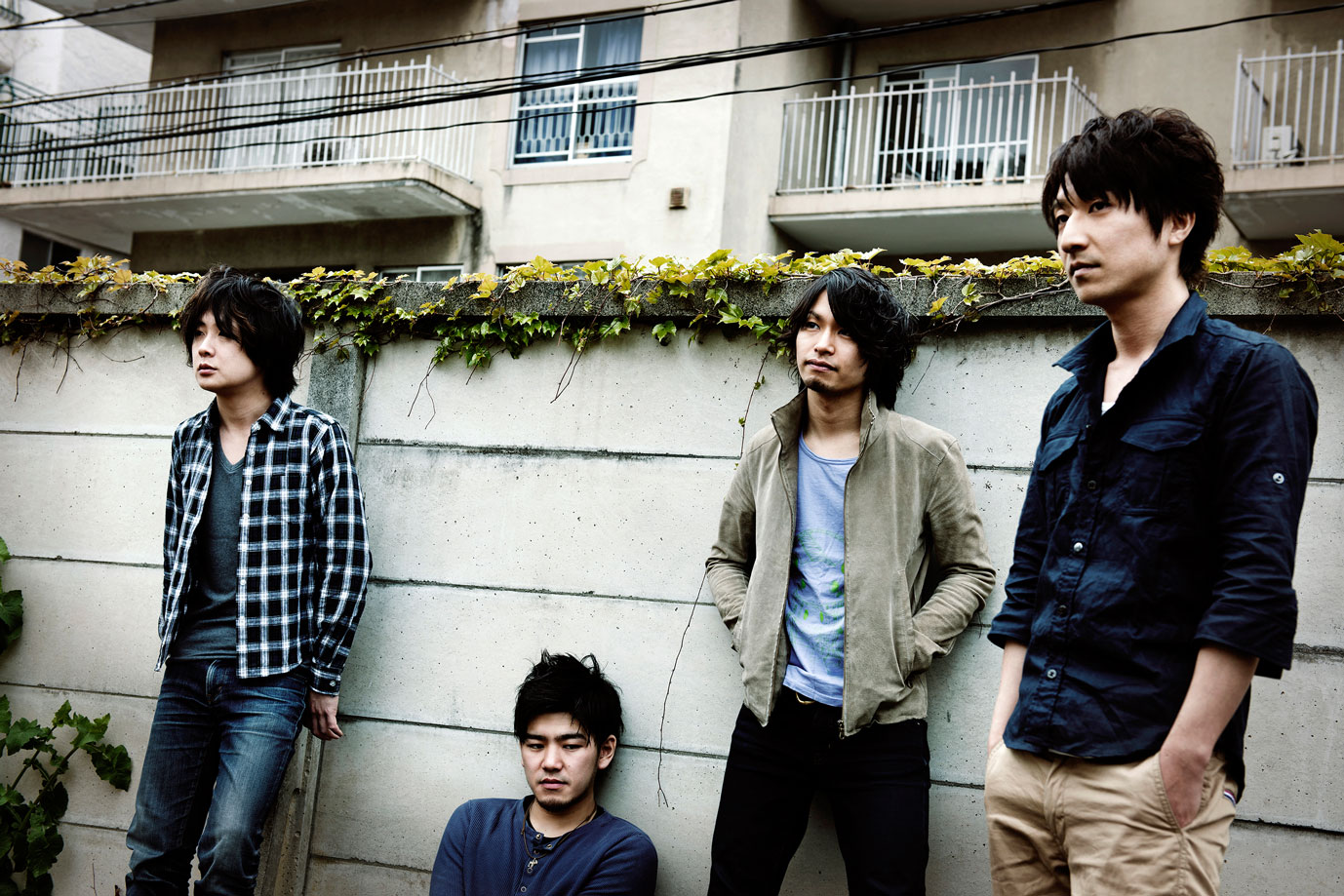 DOOKIE FESTA