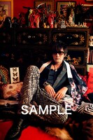 「『スガ シカオ×蜷川実花』スペシャルフォト・ポストカード」（タワーレコード）