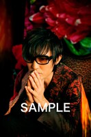 「『スガ シカオ×蜷川実花』スペシャルフォト・ポストカード」（TSUTAYA）