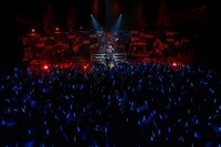 藍井エイル「BLAU TOUR 2013」赤坂BLITZライブの様子。会場はイメージカラーの青いペンライトの光に包まれた。