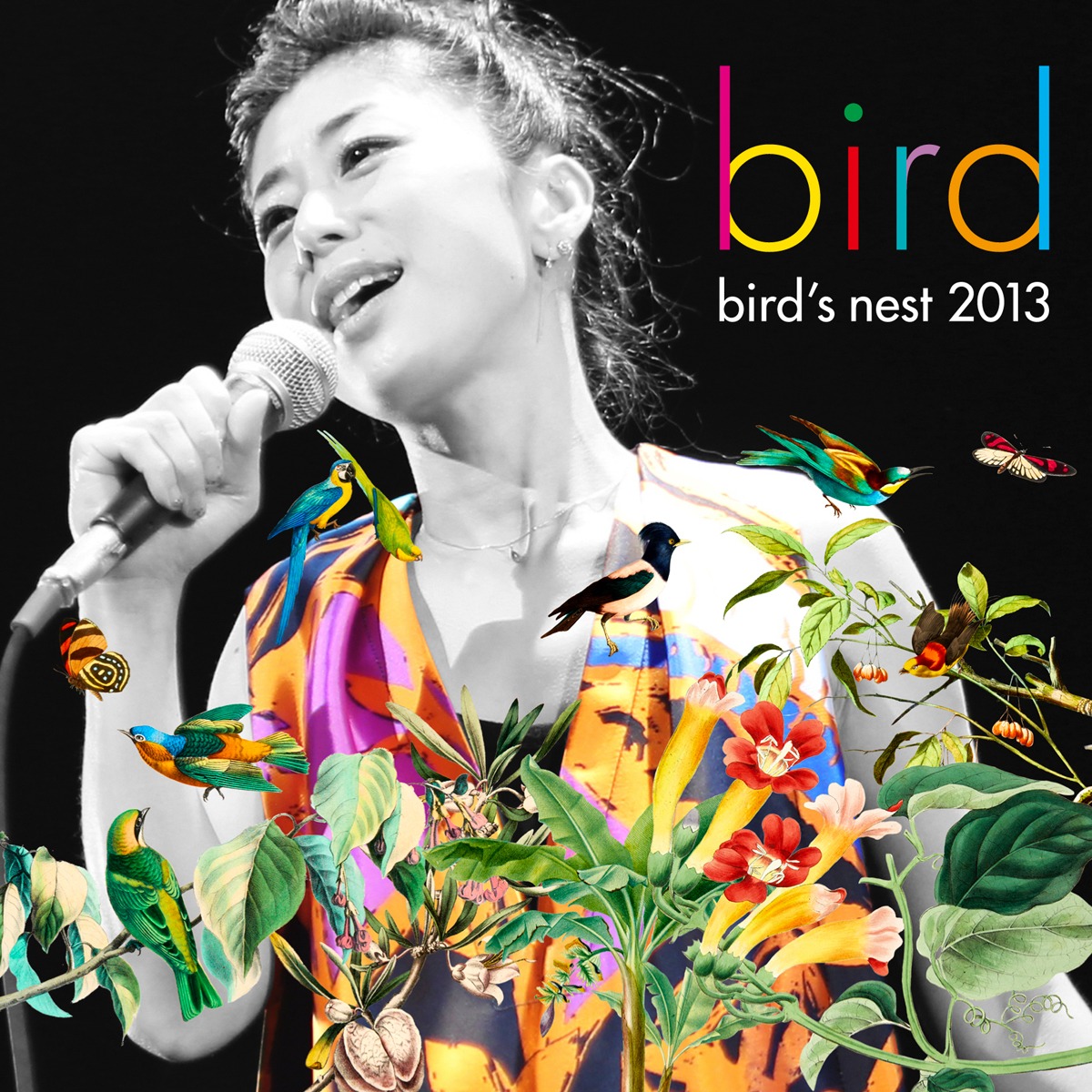 bird「bird's nest 2013」ジャケット