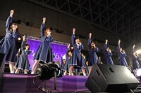 乃木坂46