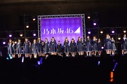 乃木坂46