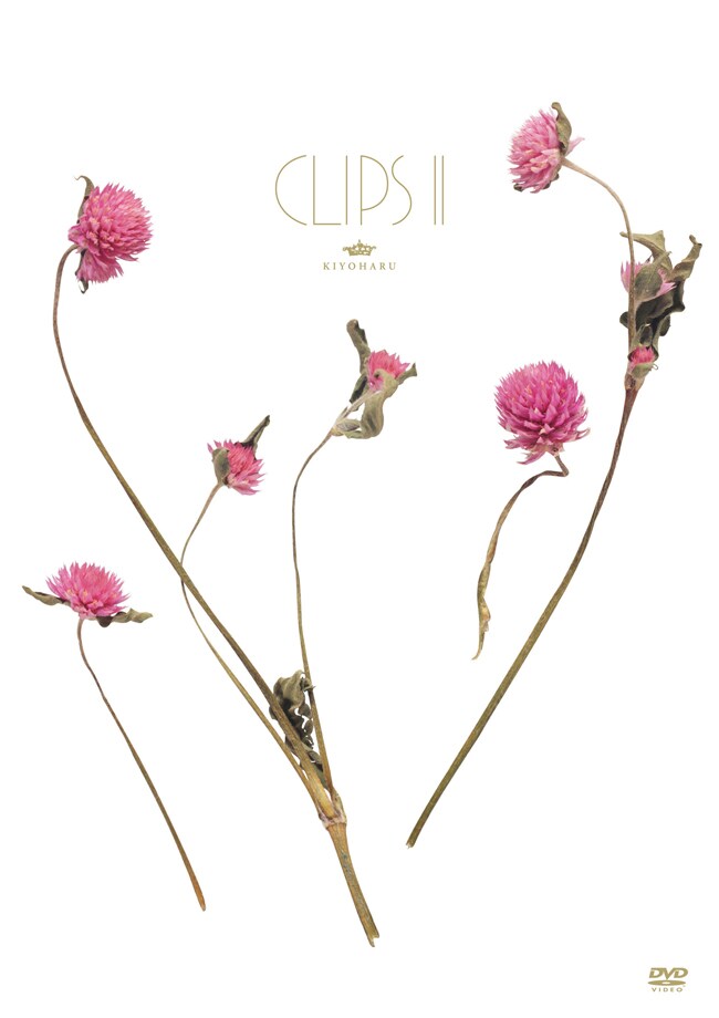 清春「Kiyoharu CLIPS II」DVDジャケット