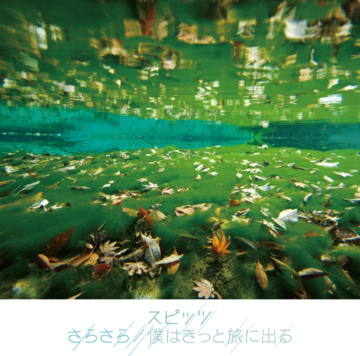 スピッツ「さらさら / 僕はきっと旅に出る」ジャケット