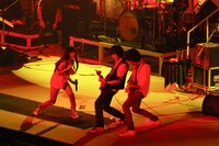 miwaが3月29日に行った日本武道館ライブの模様。