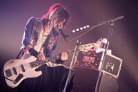 ハク（B）（撮影：西槙太一）