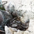 plane、多くの出会いから生まれたフルアルバム発表