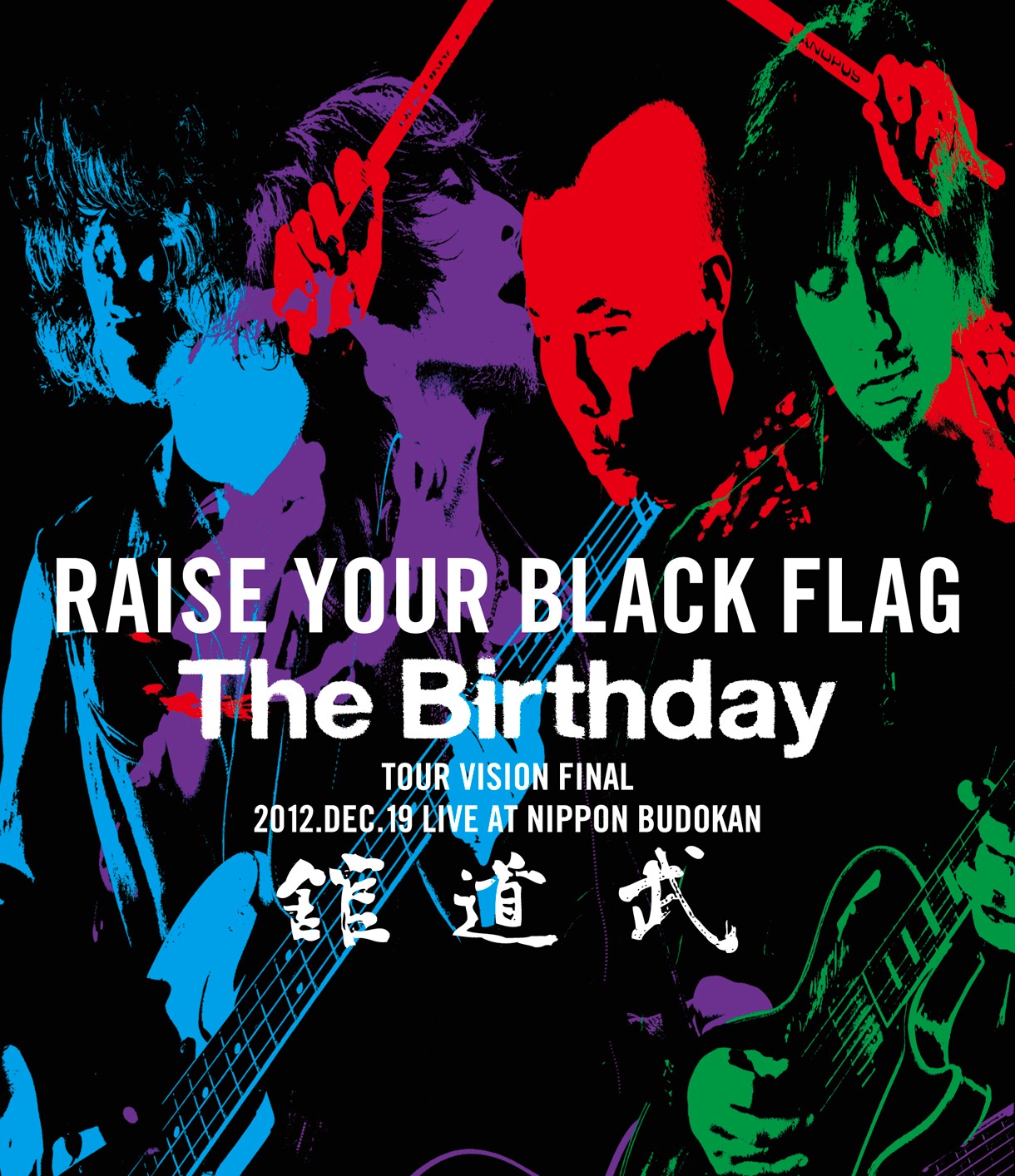 The Birthday「RAISE YOUR BLACK FLAG The Birthday TOUR VISION FINAL 2012. DEC. 19 LIVE AT NIPPON BUDOKAN」Blu-ray盤ジャケット