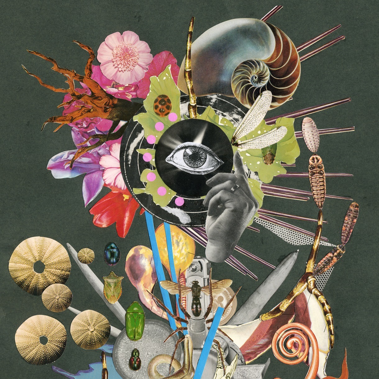 宇宙人「惡の華」ジャケット