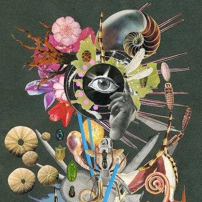 宇宙人「惡の華」ジャケット