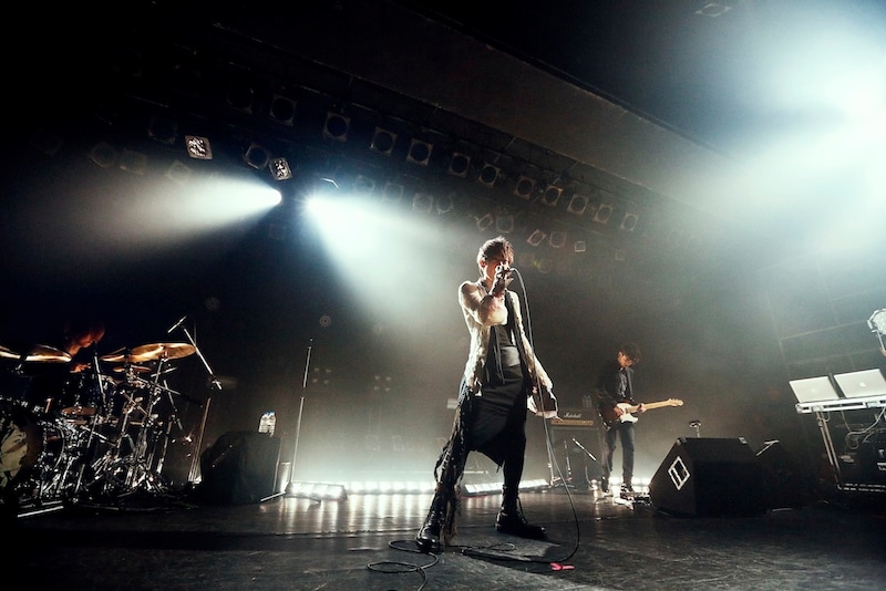 「acid android live 2013」の様子。（撮影：岡田貴之）