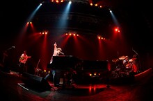 「WEAVER Handmade TOUR 2013『Piano Trio Performance』」Zepp DiverCity TOKYO公演の様子。