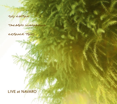 勝井祐二＋沼澤尚＋辻コースケ「LIVE at NAVARO」ジャケット