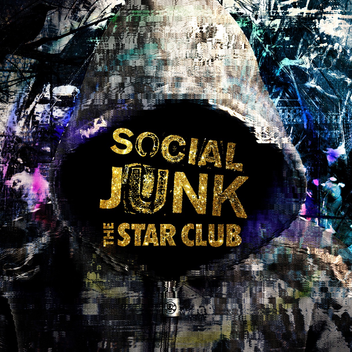 THE STAR CLUB「SOCIAL JUNK」ジャケット